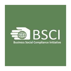 BSCI